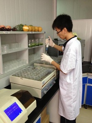 沃爾瑪生鮮配送中心的工作人員正在做農藥殘留檢測。