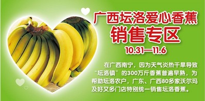 廣東、廣西80多家沃爾瑪門店正銷售廣西壇洛<br />由于早熟而引起的滯銷香蕉。
